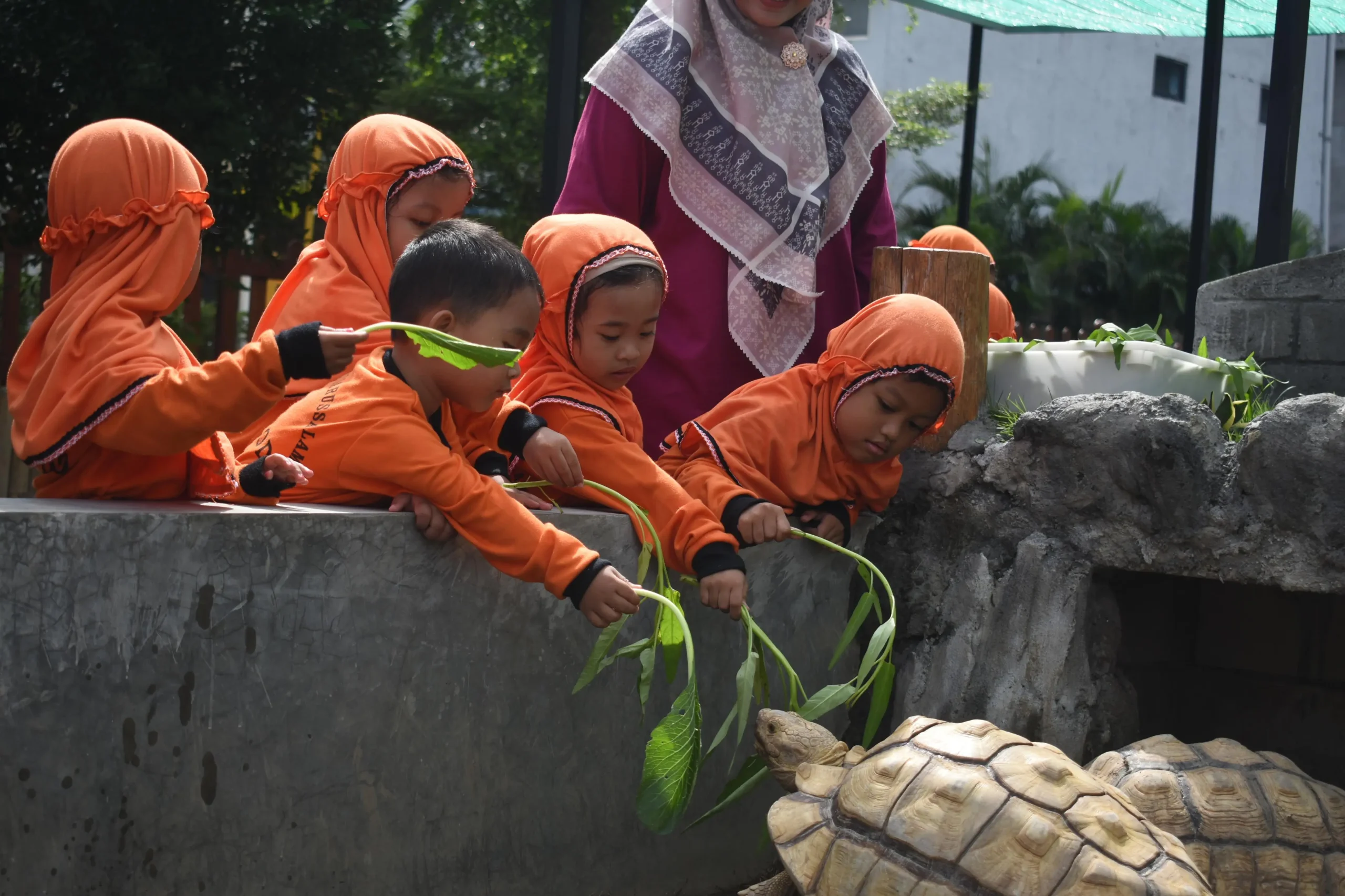 IMG-20260804-WA0029